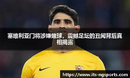 ng体育